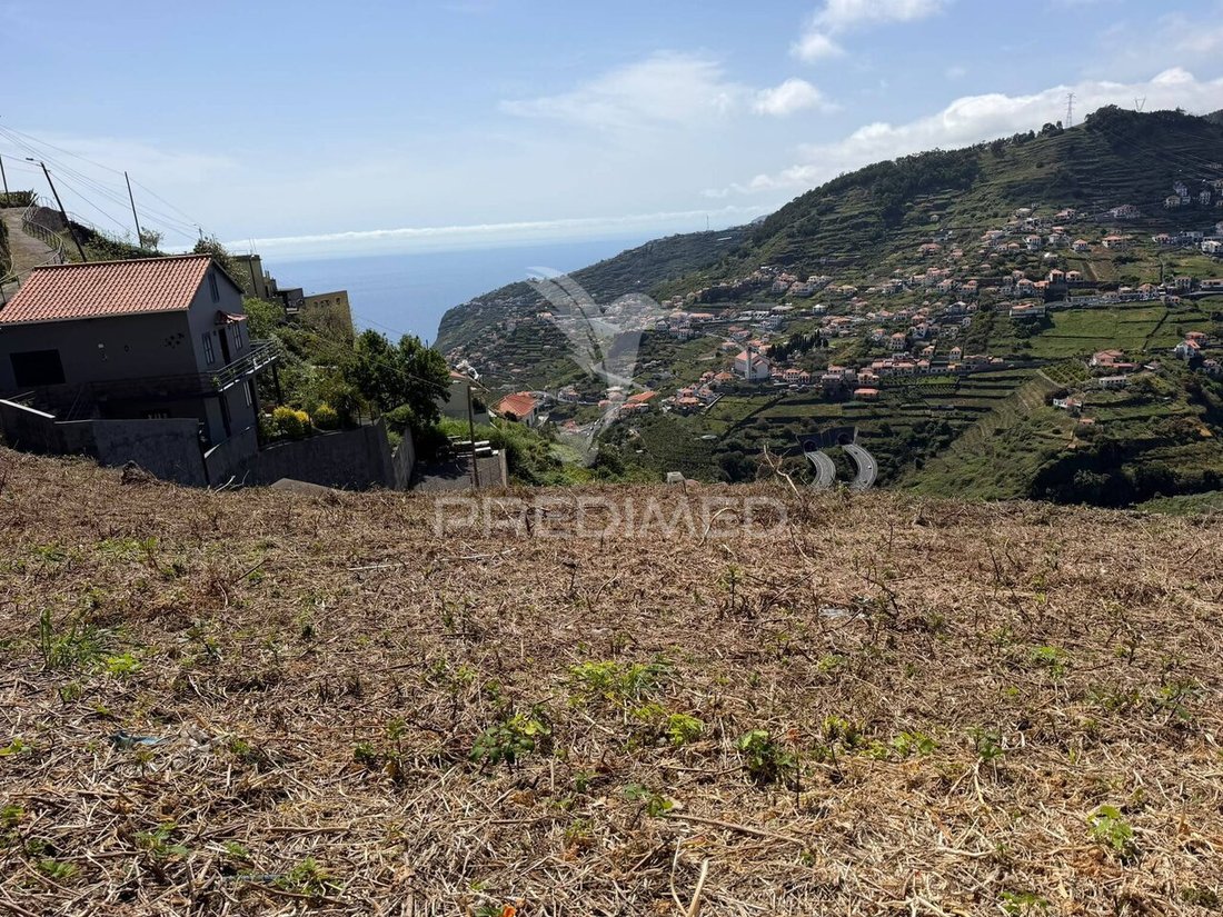 Land in Ribeira Brava, Madeira, Portugal 1 - 17858653