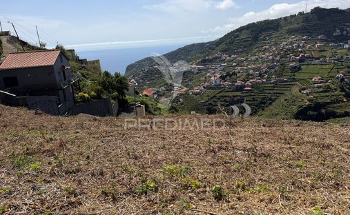 Land in Ribeira Brava, Madeira, Portugal 1