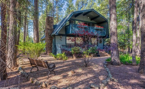 Pinetop, Arizona, United States 1