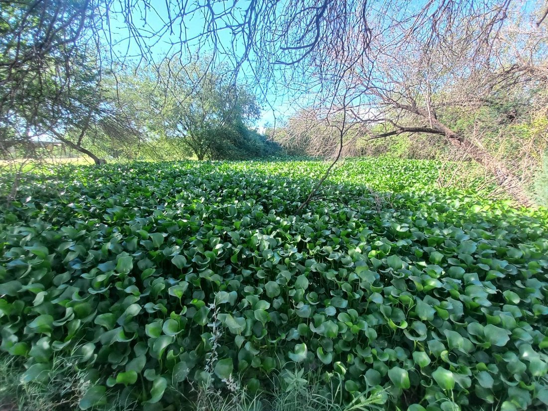 Land in La Manga, Sonora, Mexico 2 - 18272983