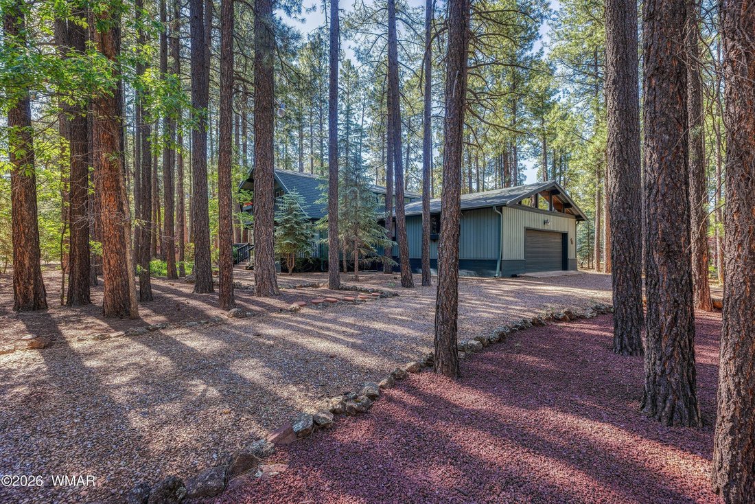 Pinetop, Arizona, United States 5 - 18273601