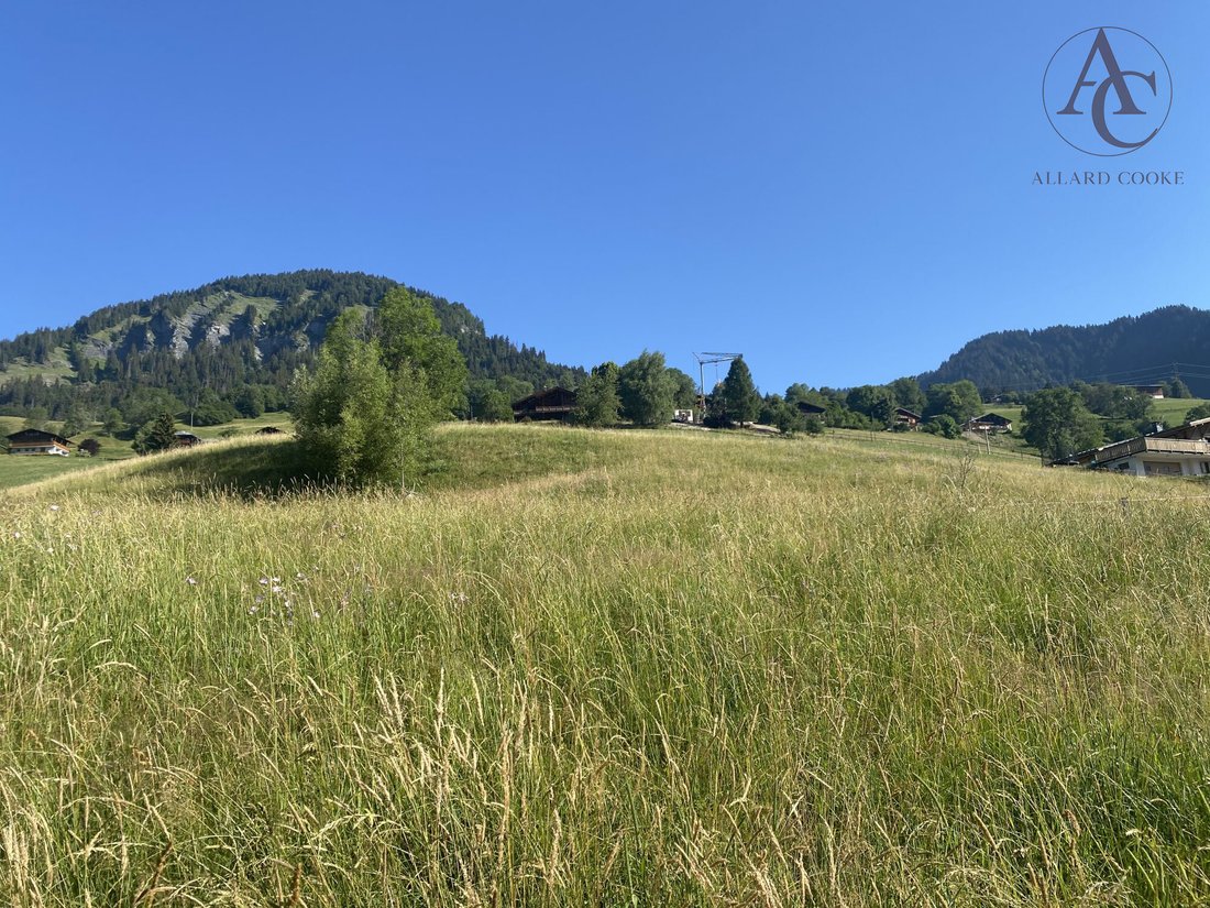 Land in Praz-sur-Arly, Auvergne-Rhône-Alpes, France 4 - 18276400