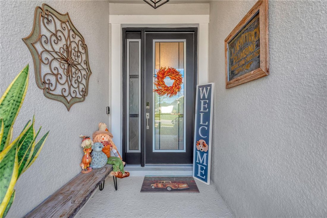 House in Wesley Chapel, Florida, United States 3 - 18273665