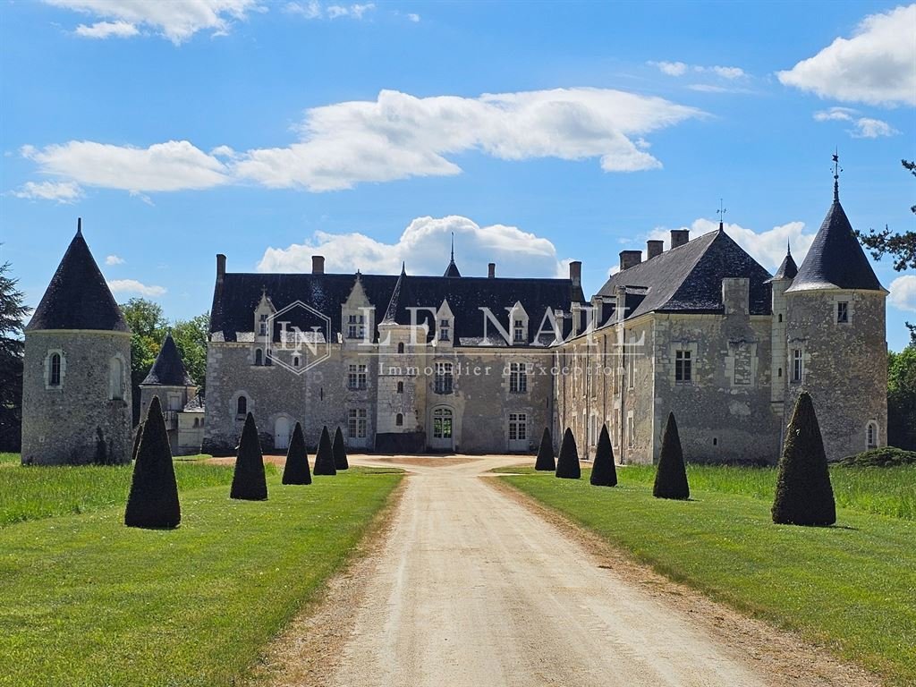 Castle in Bauge, Baugé-en-Anjou, France 5 - 18275591