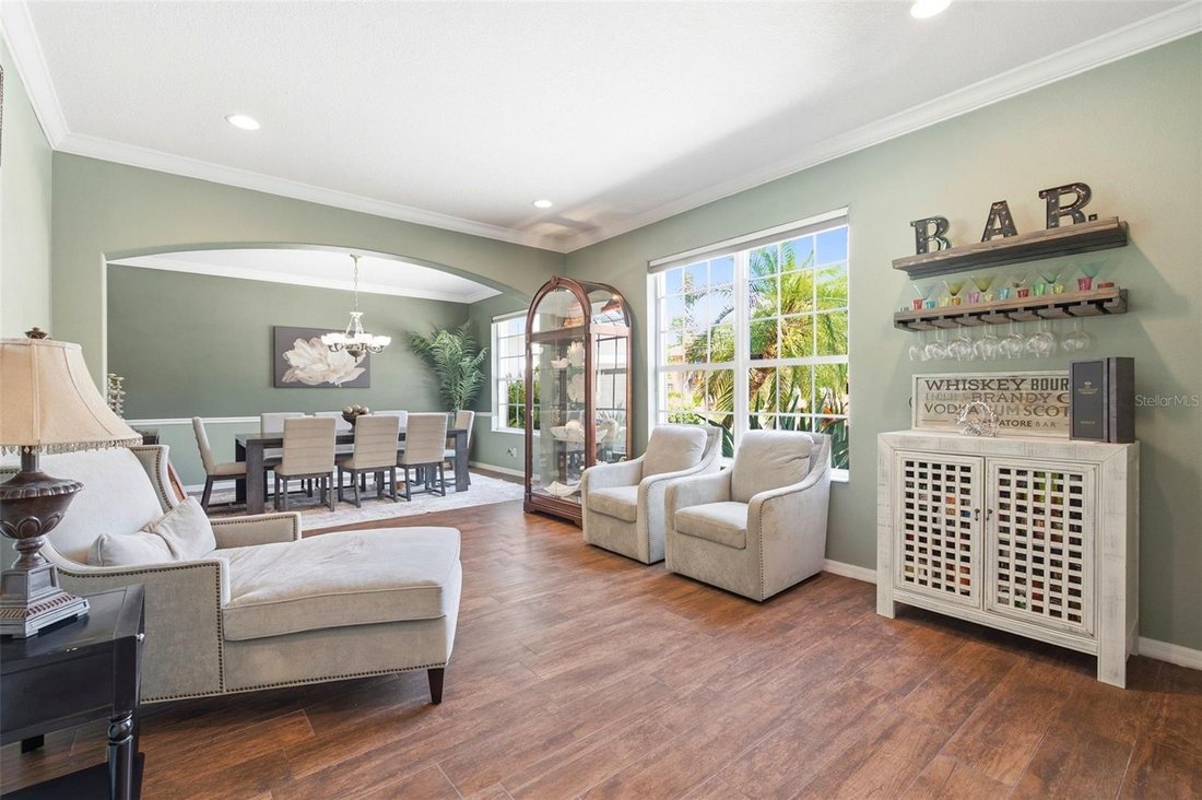 House in Wesley Chapel, Florida, United States 4 - 18273616