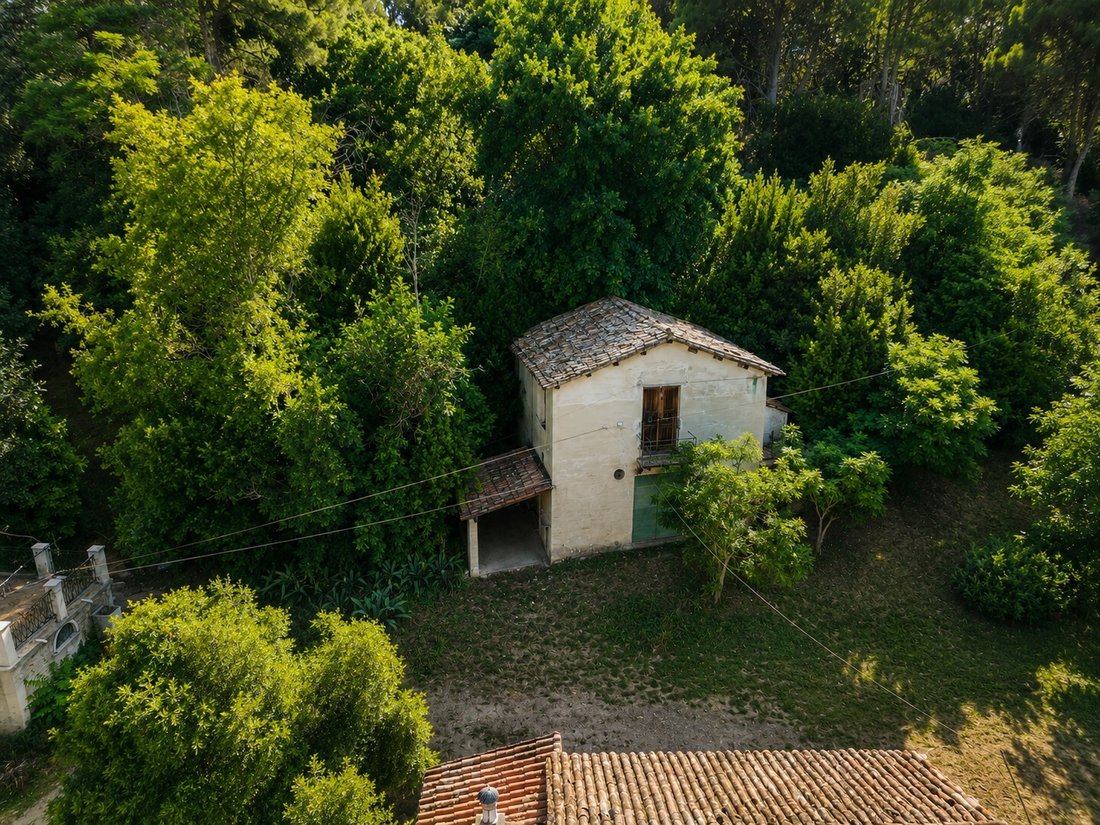 Villa in Historic Center, Pesaro, Marche 5 - 18276762