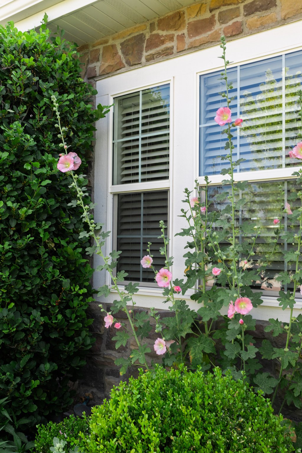 House in Provo, Utah, United States 5 - 18277521