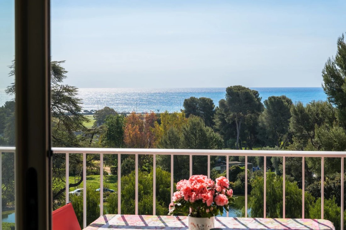 Apartment in Saint Veran, Cagnes-sur-Mer, France 1 - 18276893