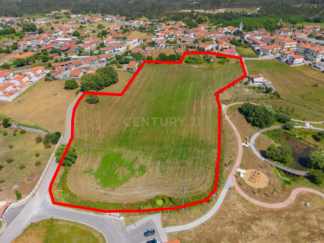 Land in Calvaria de Cima, Leiria District, Portugal 5 - 18278394