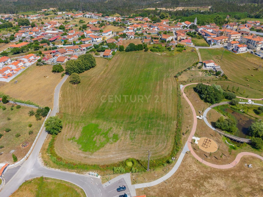 Land in Calvaria de Cima, Leiria District, Portugal 4 - 18278394