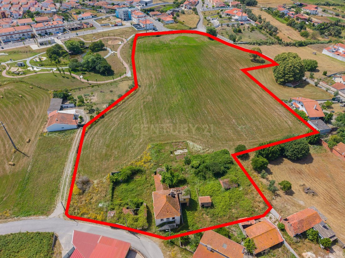 Land in Calvaria de Cima, Leiria District, Portugal 2 - 18278394