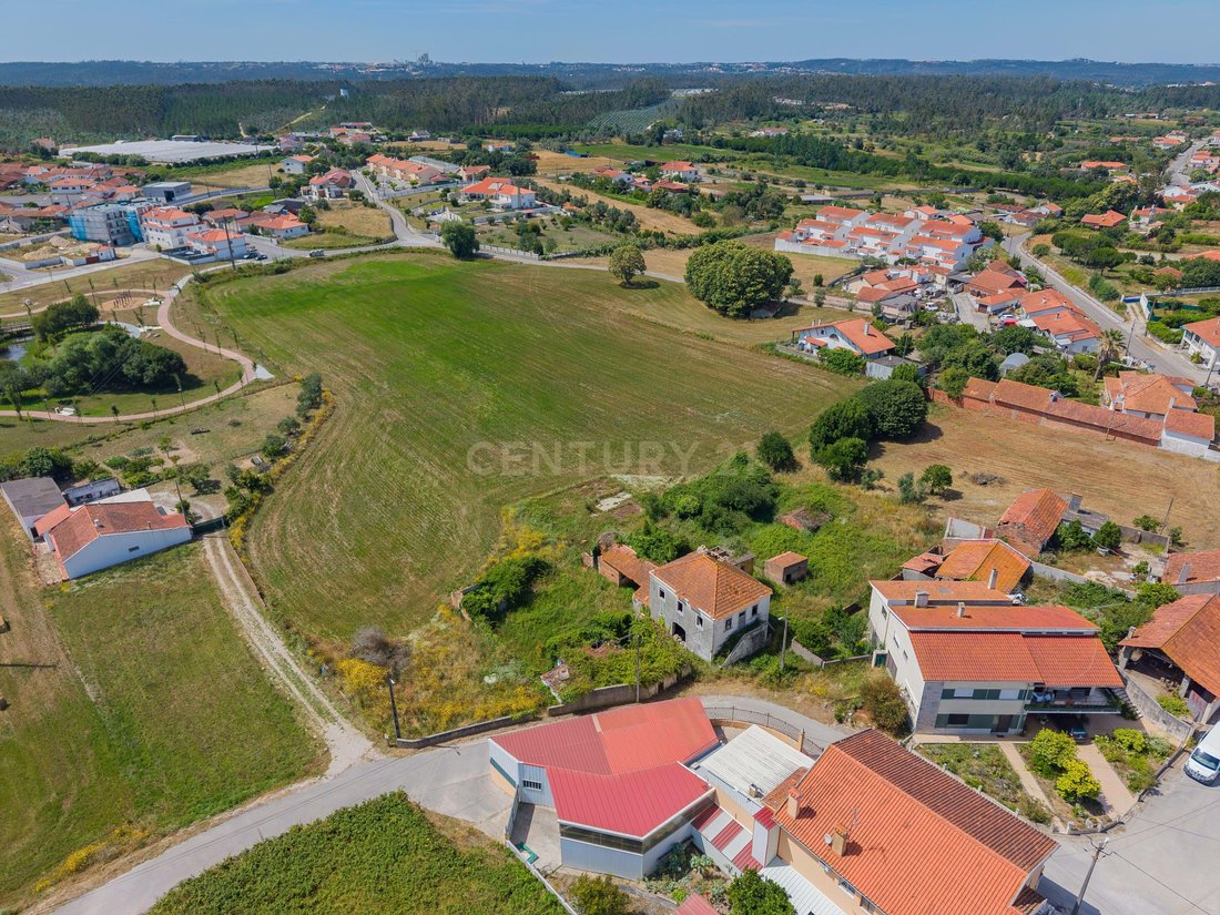 Land in Calvaria de Cima, Leiria District, Portugal 1 - 18278394