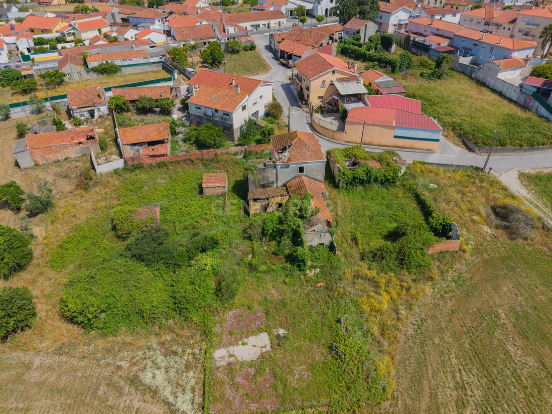 Land in Calvaria de Cima, Leiria District, Portugal 3 - 18278394