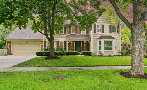 House in Prospect Heights, Illinois, United States 1