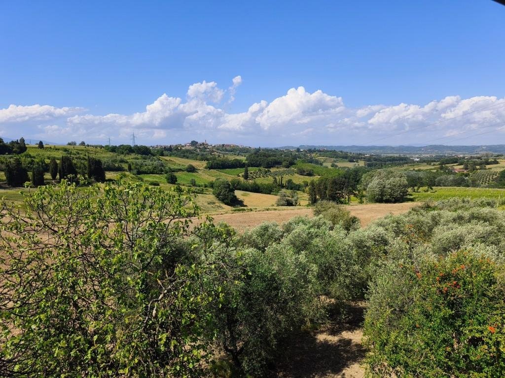 Terricciola, Tuscany, Italy 4 - 18278259