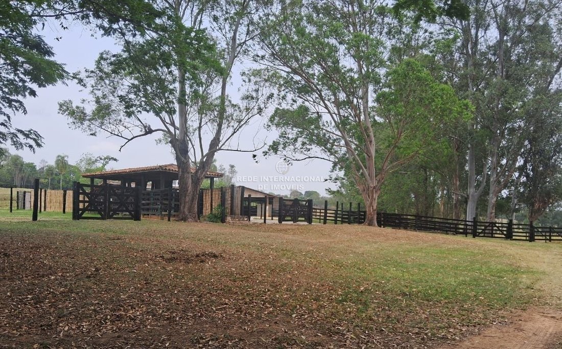 Farm Ranch in Capela do Alto, State of São Paulo, Brazil 4 - 17218763
