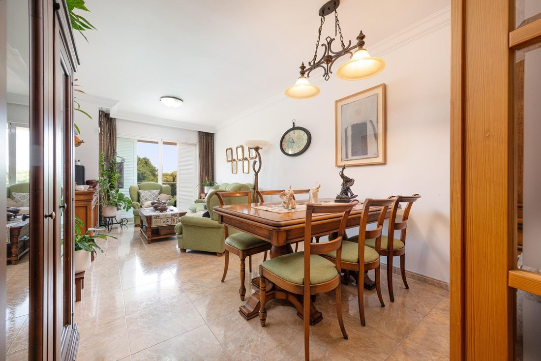 Apartment in Alcudia, Balearic Islands, Spain 2 - 18277232