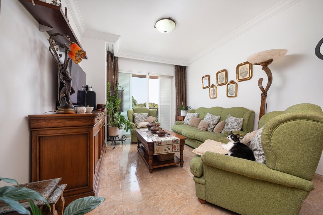 Apartment in Alcudia, Balearic Islands, Spain 3 - 18277232