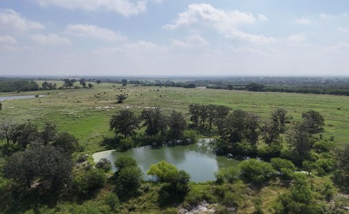 Farm Ranch in Smiley, Texas, United States 1