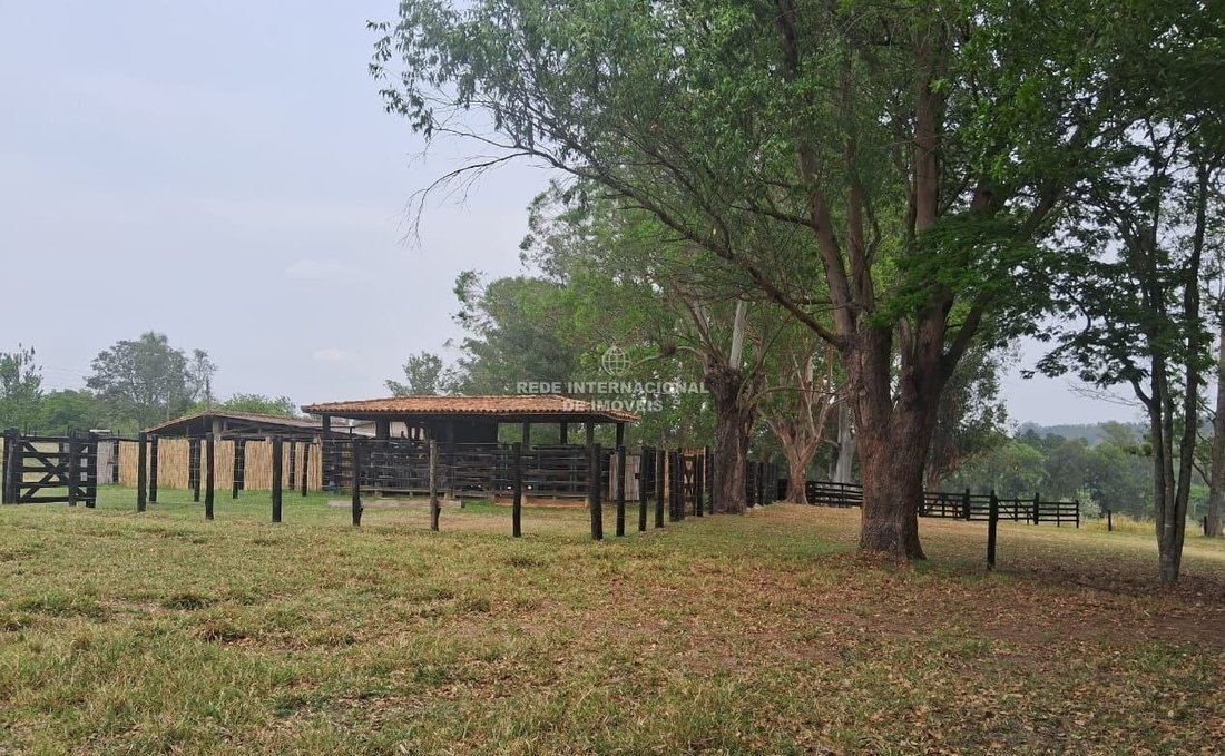 Farm Ranch in Capela do Alto, State of São Paulo, Brazil 2 - 17218763