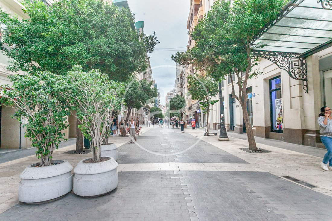 Apartment in Ciutat Vella, Valencia, Spain 4 - 18278419