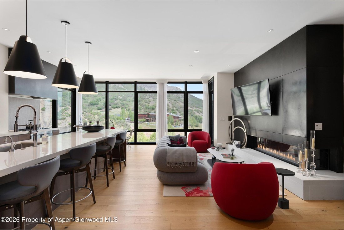 Condo in Aspen, Colorado, United States 1 - 18258308