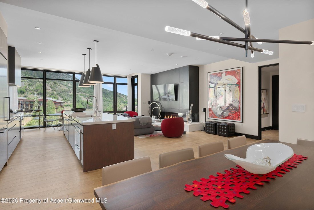 Condo in Aspen, Colorado, United States 5 - 18258308