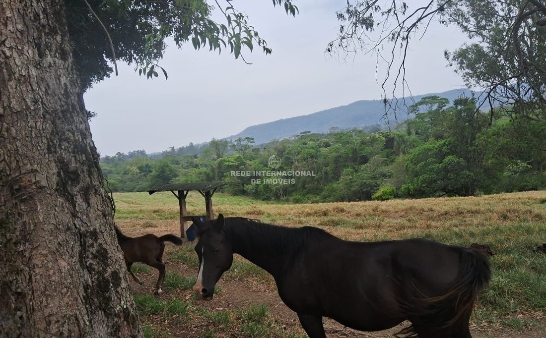 Farm Ranch in Capela do Alto, State of São Paulo, Brazil 3 - 17218763