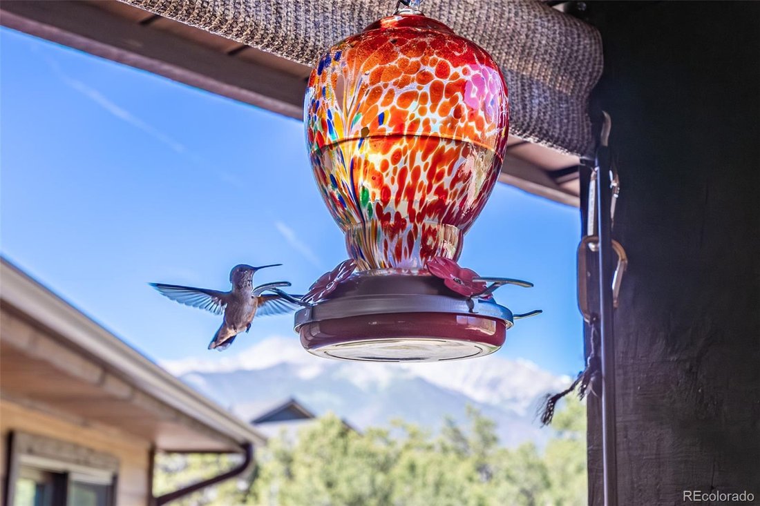 House in Buena Vista, Colorado, United States 5 - 18276984