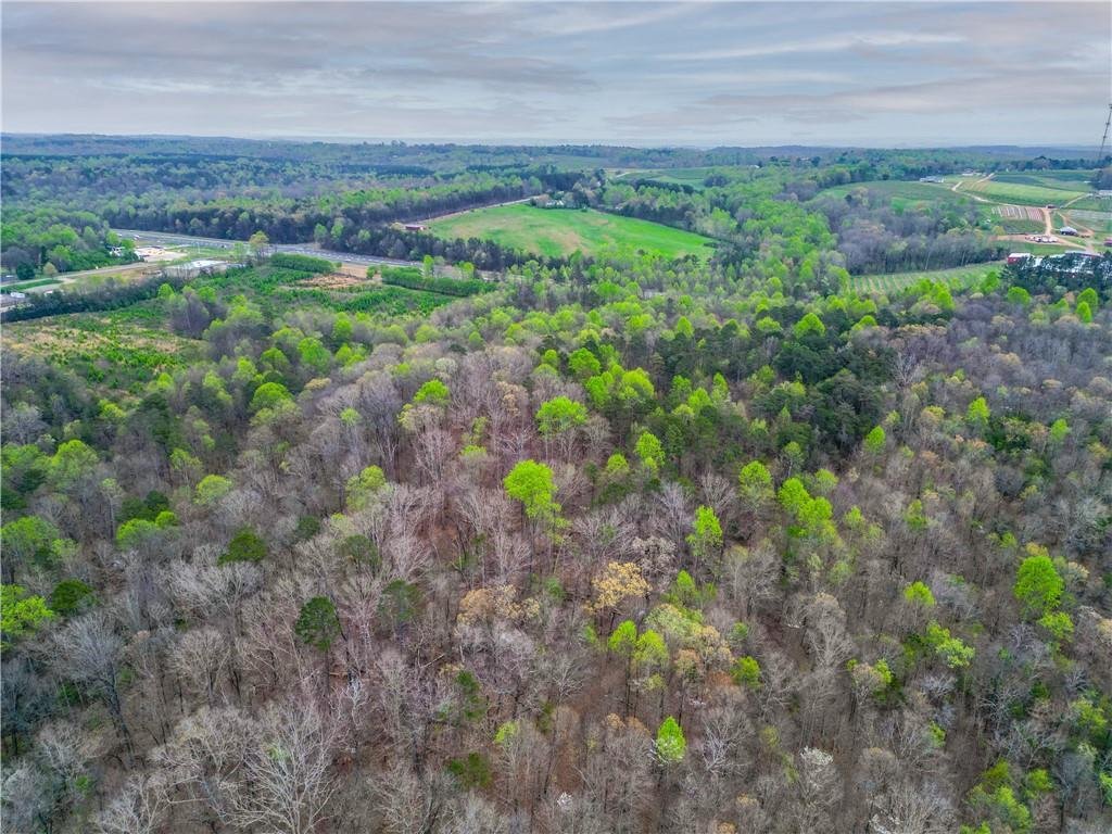 Terrain à Alto, Géorgie, États-Unis 5 - 18277655