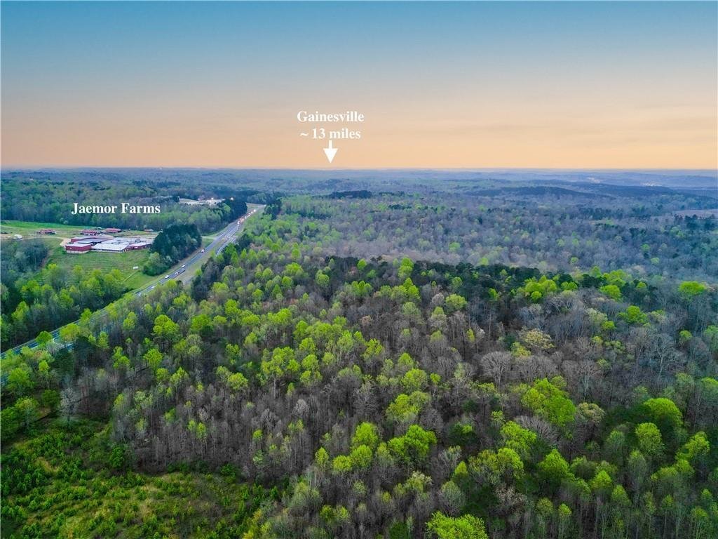 Terrain à Alto, Géorgie, États-Unis 3 - 18277655