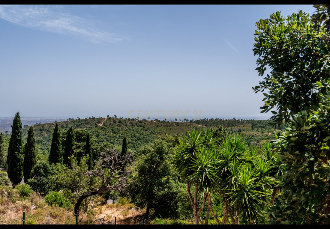 Villa in Monchique, Algarve, Portugal 4 - 18076597