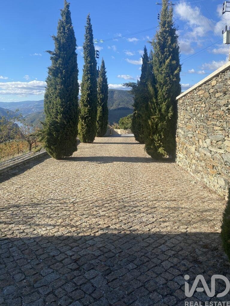 Farm Ranch in Folgosa, Viseu District, Portugal 4 - 14890001