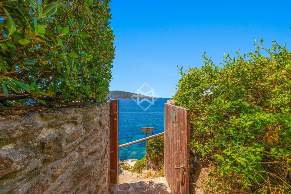 Villa in Île du Levant, Provence-Alpes-Côte d'Azur, France 2 - 18278874