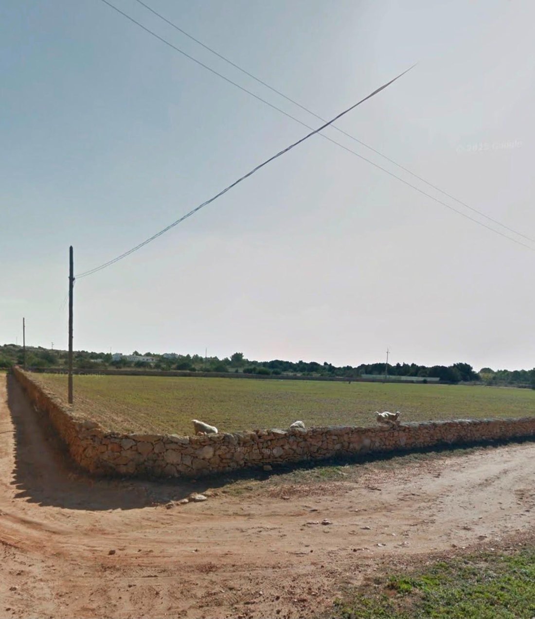 Land in Formentera, Balearic Islands, Spain 2 - 18279607