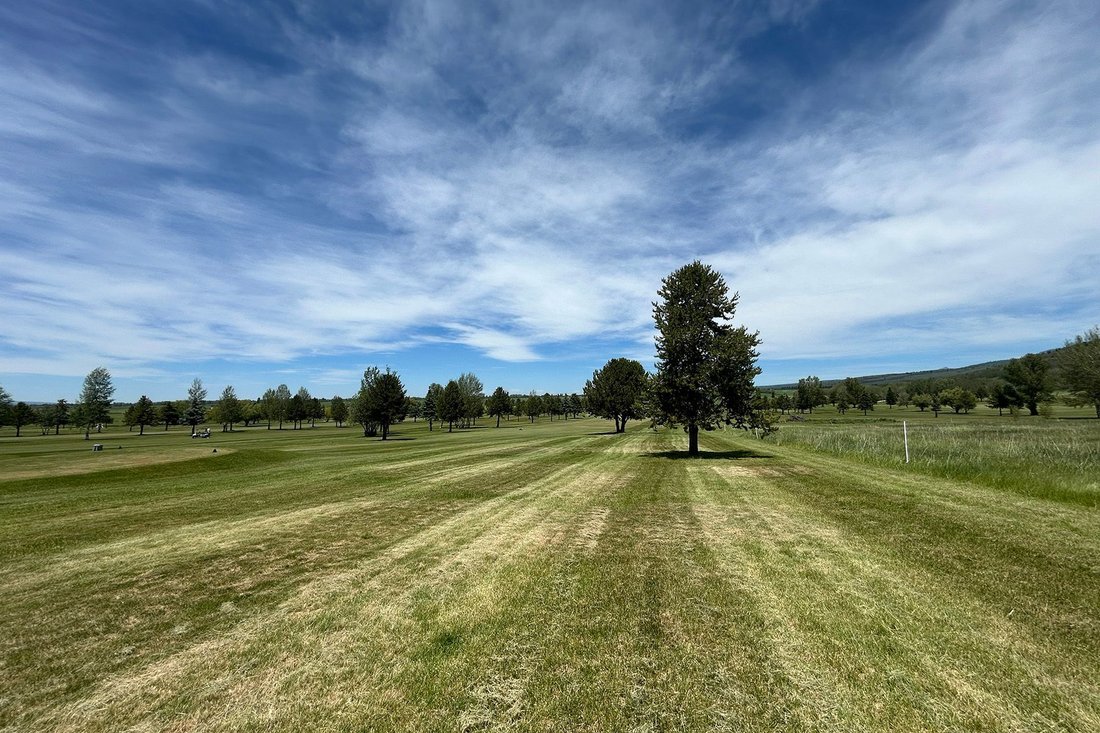 Terrain à Alta, Wyoming, États-Unis 5 - 18279008