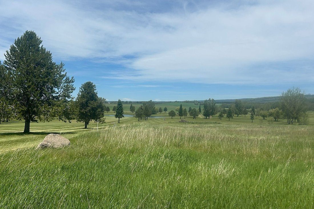 Terrain à Alta, Wyoming, États-Unis 4 - 18279008