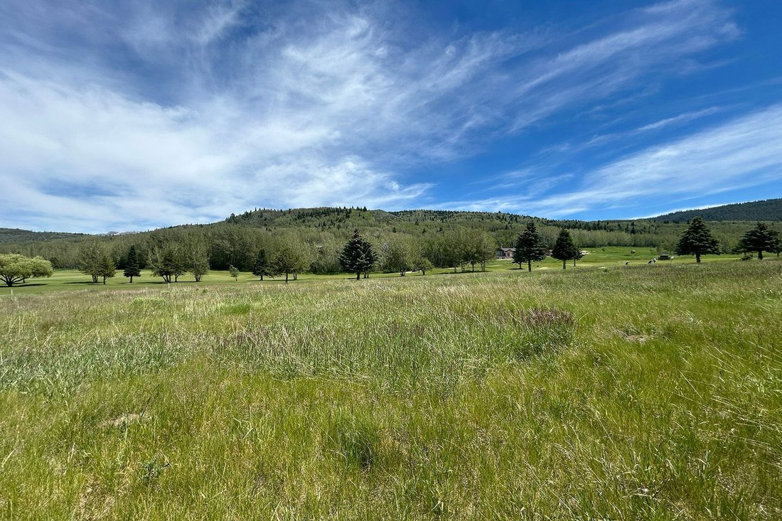 Terrain à Alta, Wyoming, États-Unis 3 - 18279008
