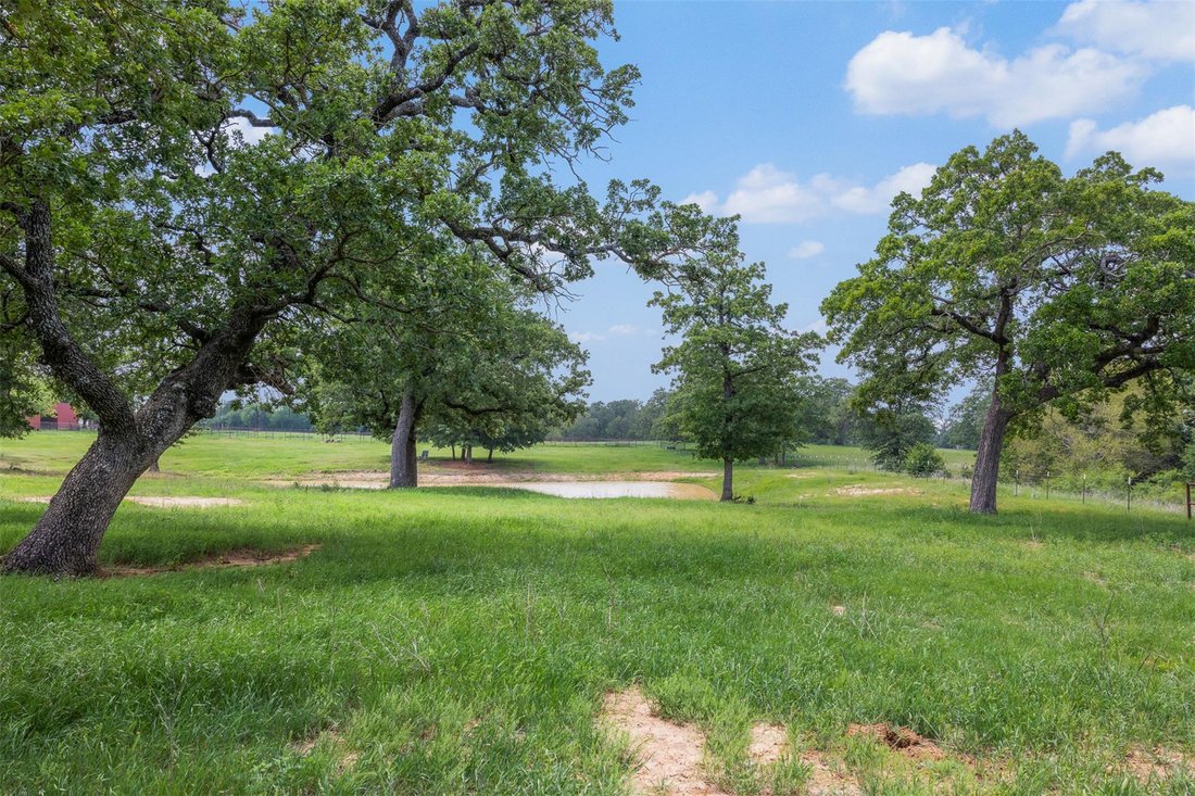 Land in Davilla, Texas, United States 1 - 18279434