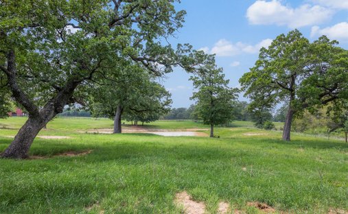Terrain à Davilla, Texas, États-Unis 1