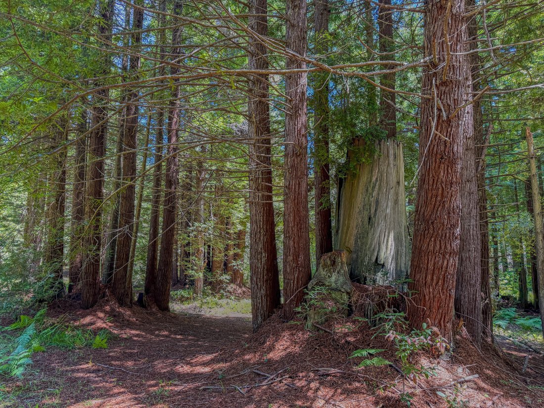 Land in Fort Bragg, California, United States 4 - 18279015