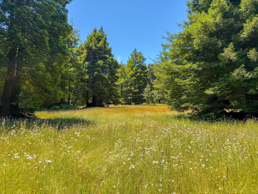 Land in Fort Bragg, California, United States 3 - 18279015