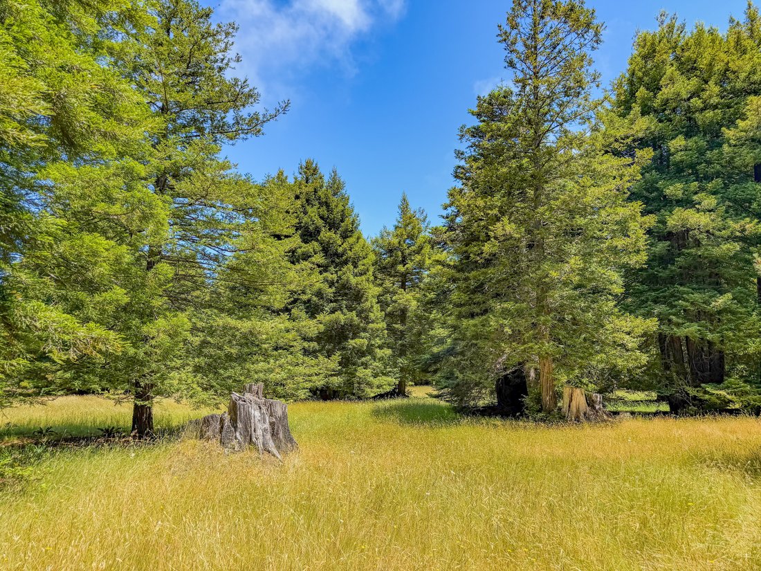 Land in Fort Bragg, California, United States 2 - 18279015