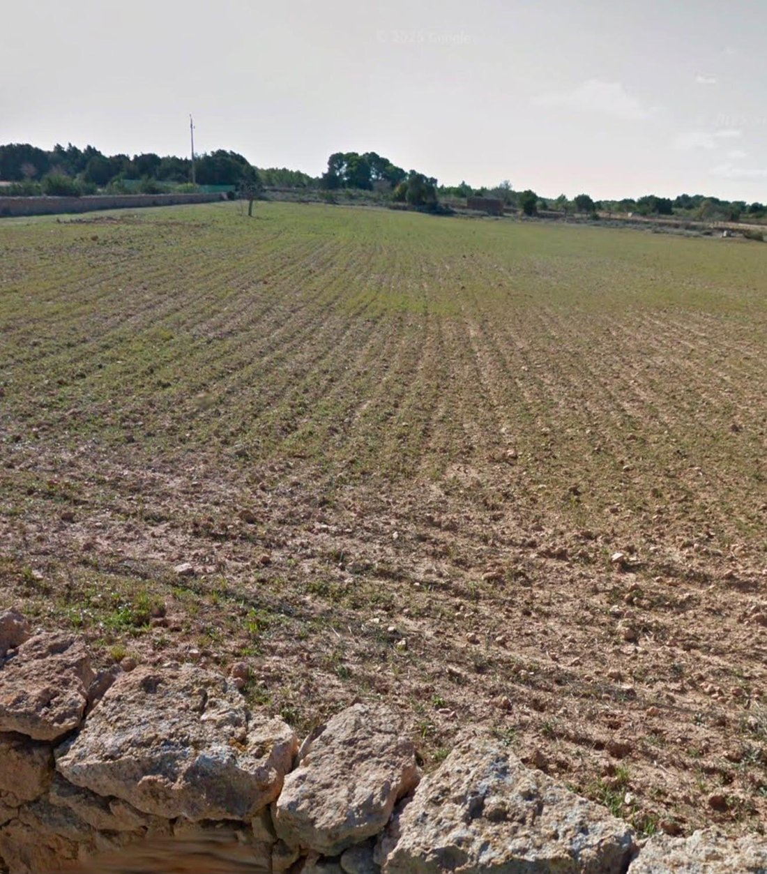 Land in Formentera, Balearic Islands, Spain 1 - 18279607