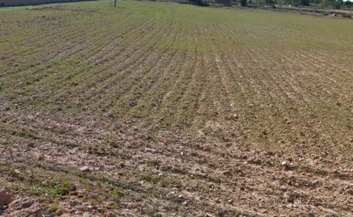 Terreno en Formentera, Islas Baleares, España 1