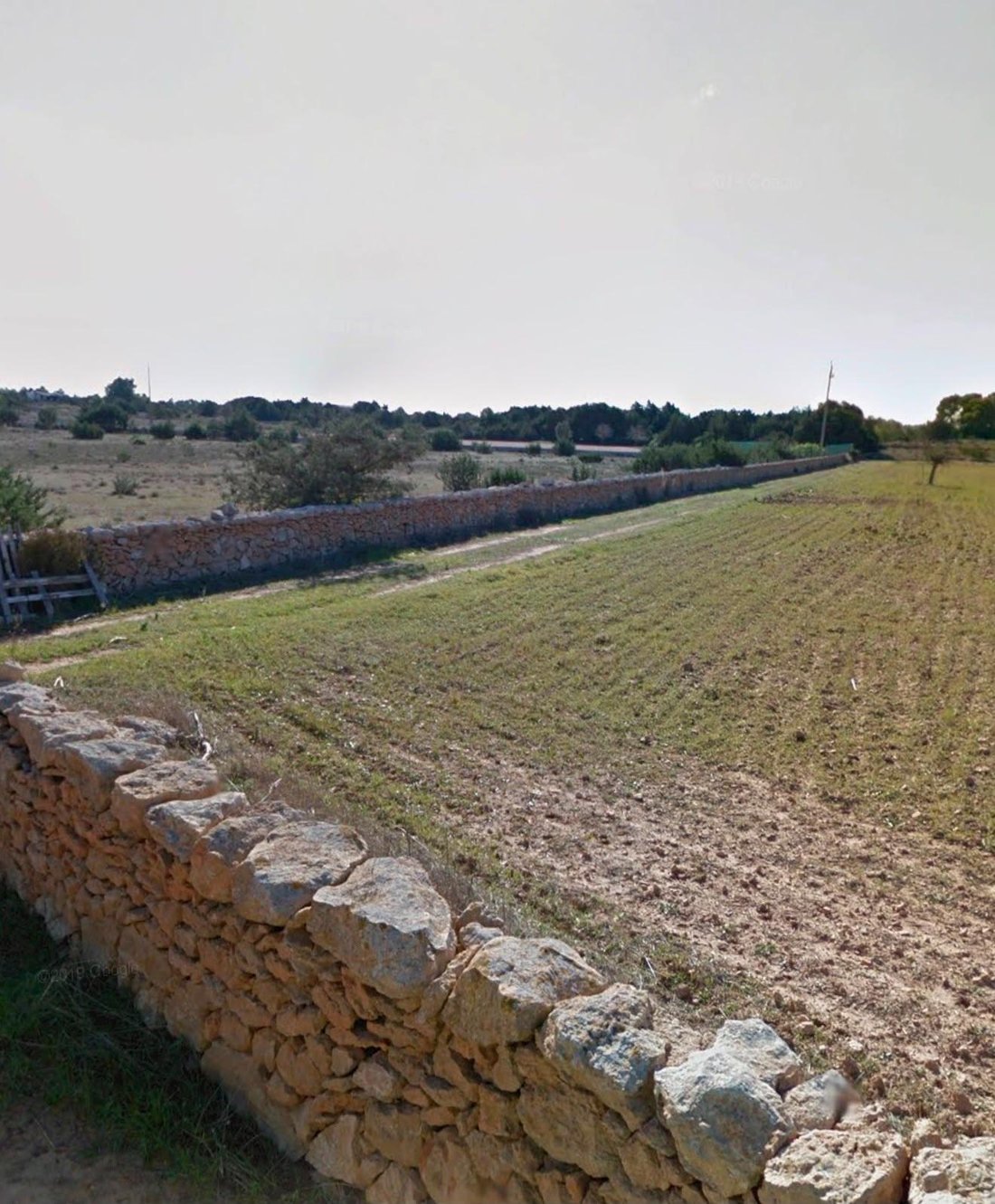 Land in Formentera, Balearic Islands, Spain 4 - 18279607