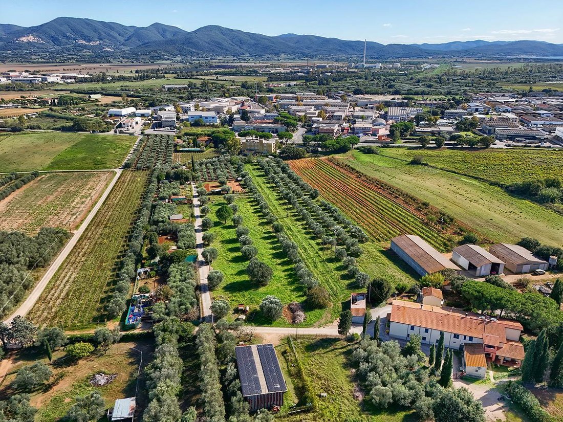Rural Area - Poggio Tre Cancelli, Follonica, Tuscany 5 - 18286049