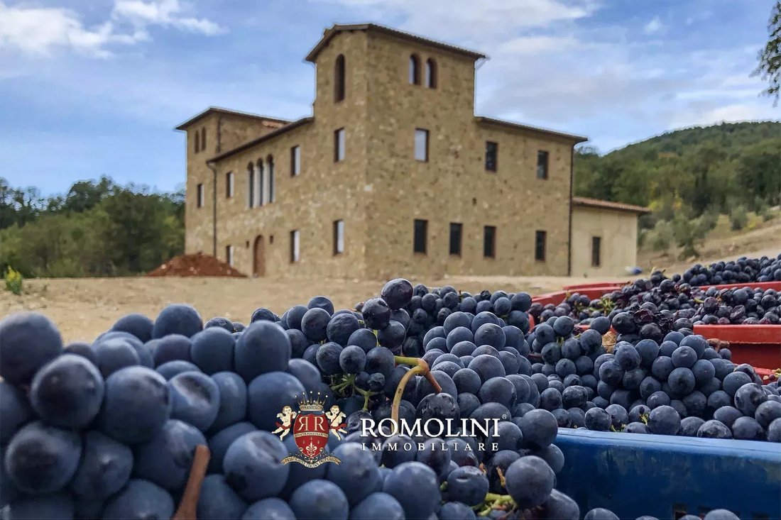 Farm Ranch in Manciano, Tuscany, Italy 4 - 15663324