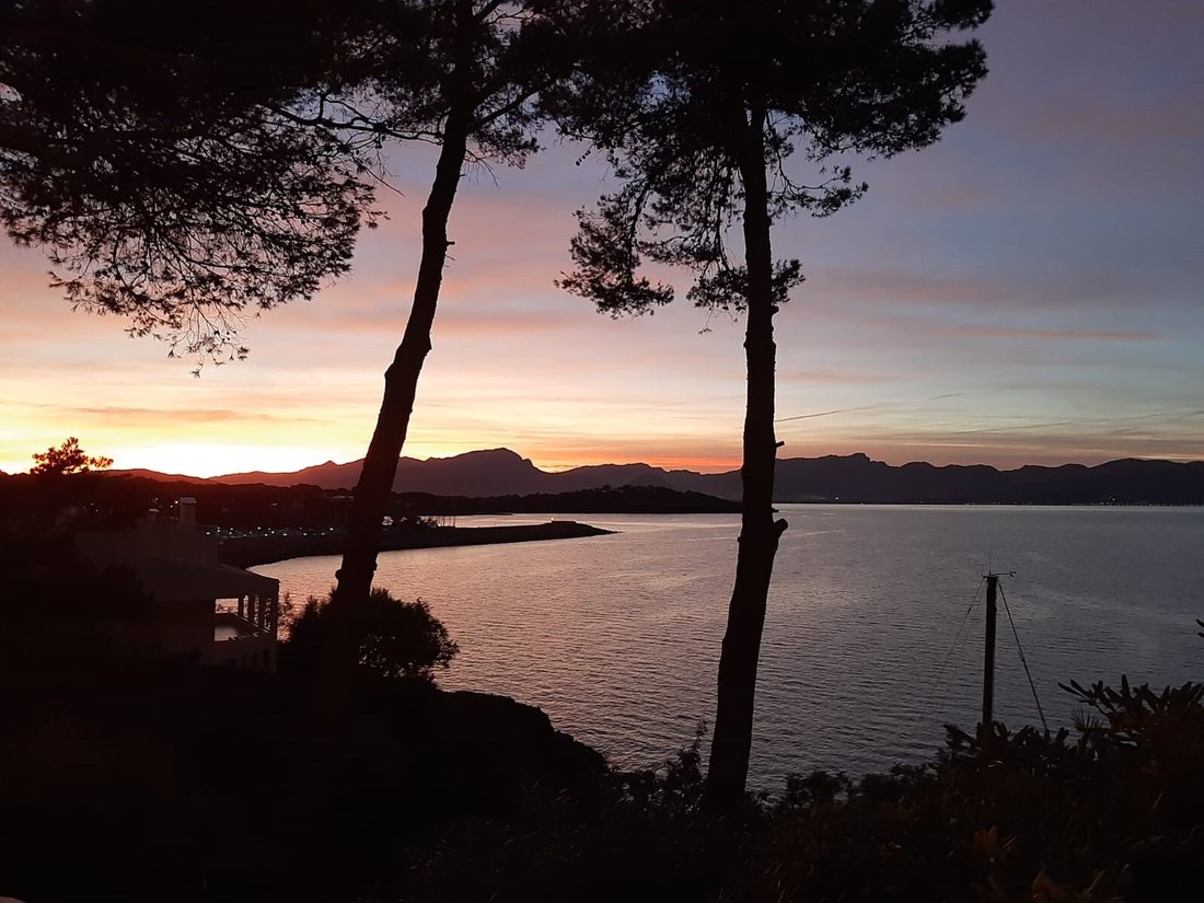 House in Alcudia, Balearic Islands, Spain 2 - 16033945