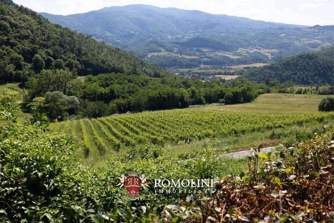Farm Ranch in Dicomano, Tuscany, Italy 1 - 15666310